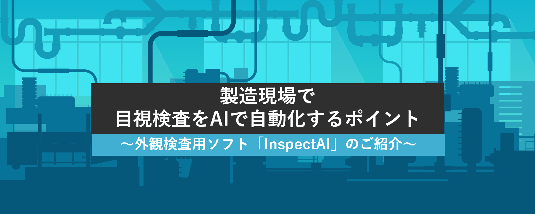 Appearance inspection software