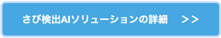 さび検出AIソリューションの詳細