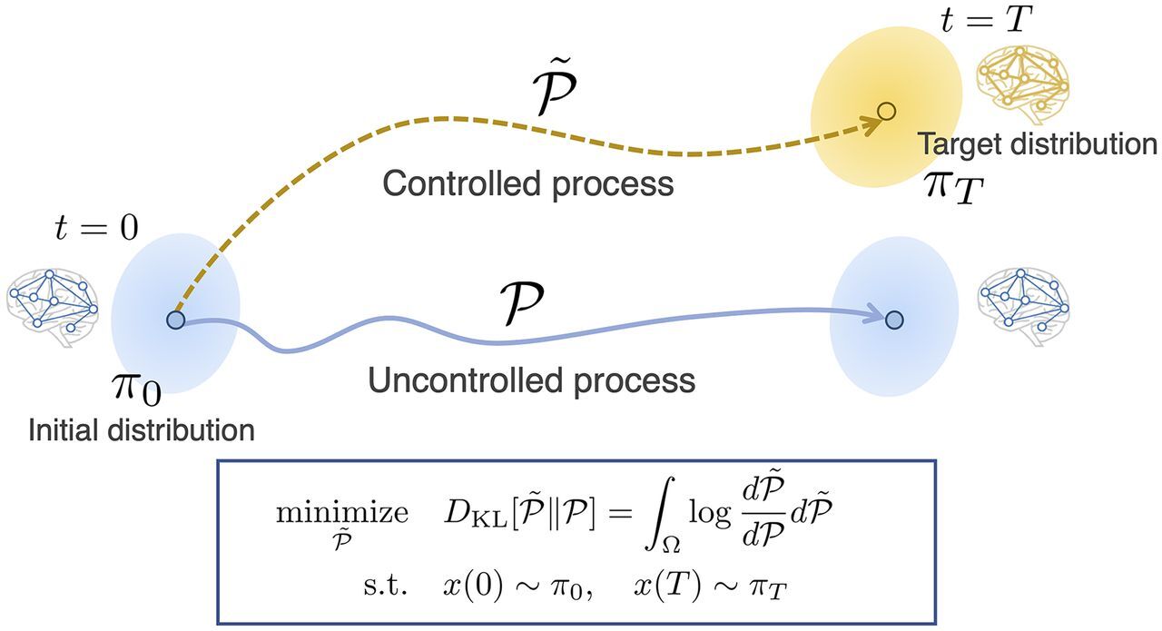 Overview of this study