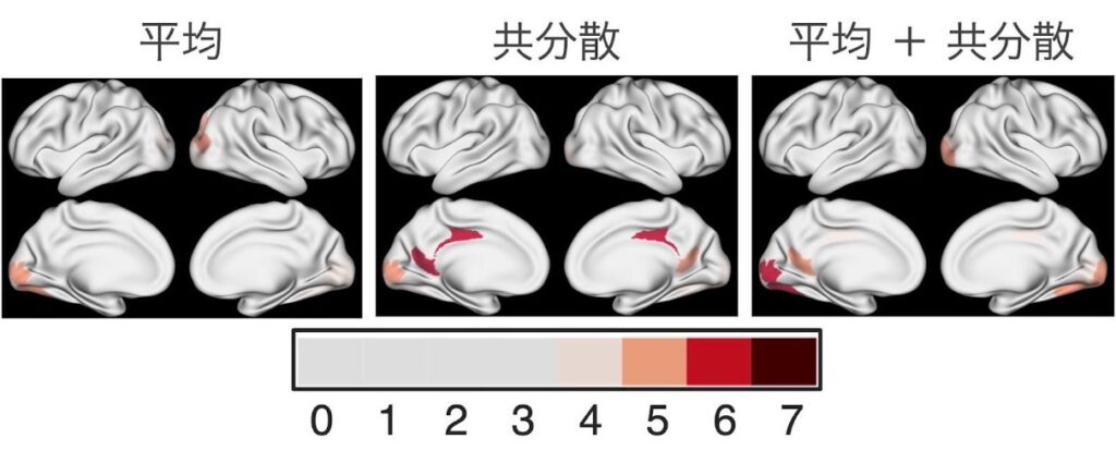 安静状態から認知タスクへの状態遷移の制御に重要な脳領域