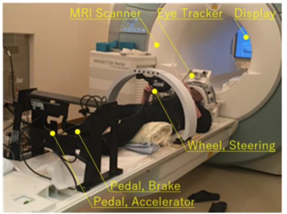 Experimental driving simulator available in fMRI