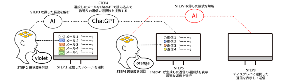 Schematic diagram of the experiment
